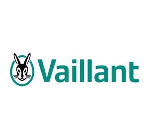 valiiant
